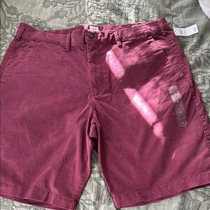 GAP Men's Dark Red Flat Front Shorts